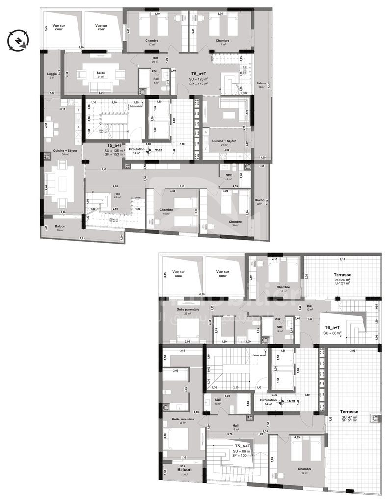 Plans des niveaux 13 et 14 (duplex) du bloc B avec les types T5a+T et T6a+T