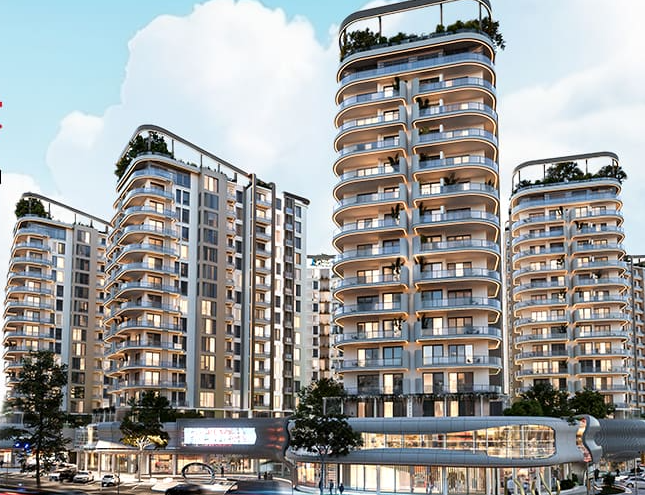 Plaza immobilier